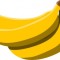 バナナの乾燥例